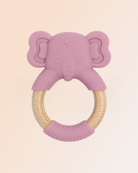 Baby Friends Dentizione